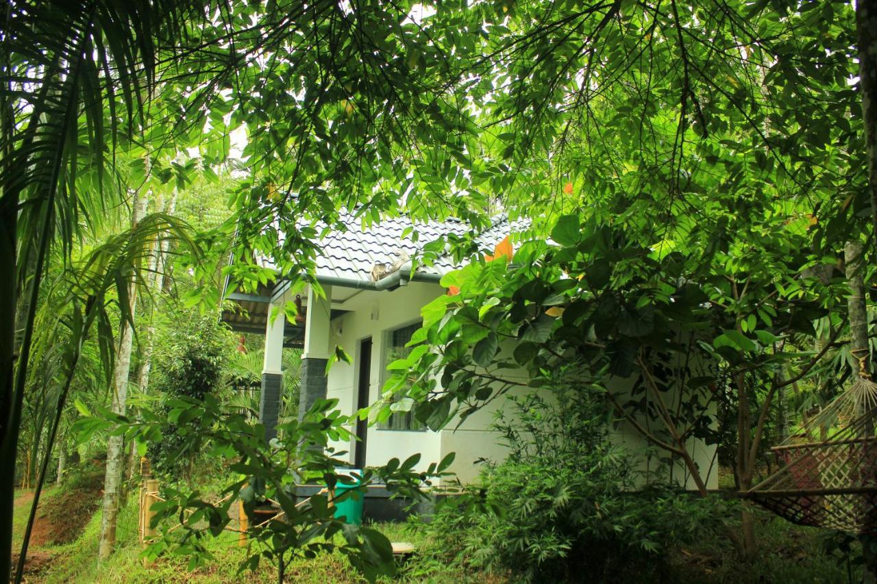 Vintage Garden Resort Sultan Bathery Exterior foto